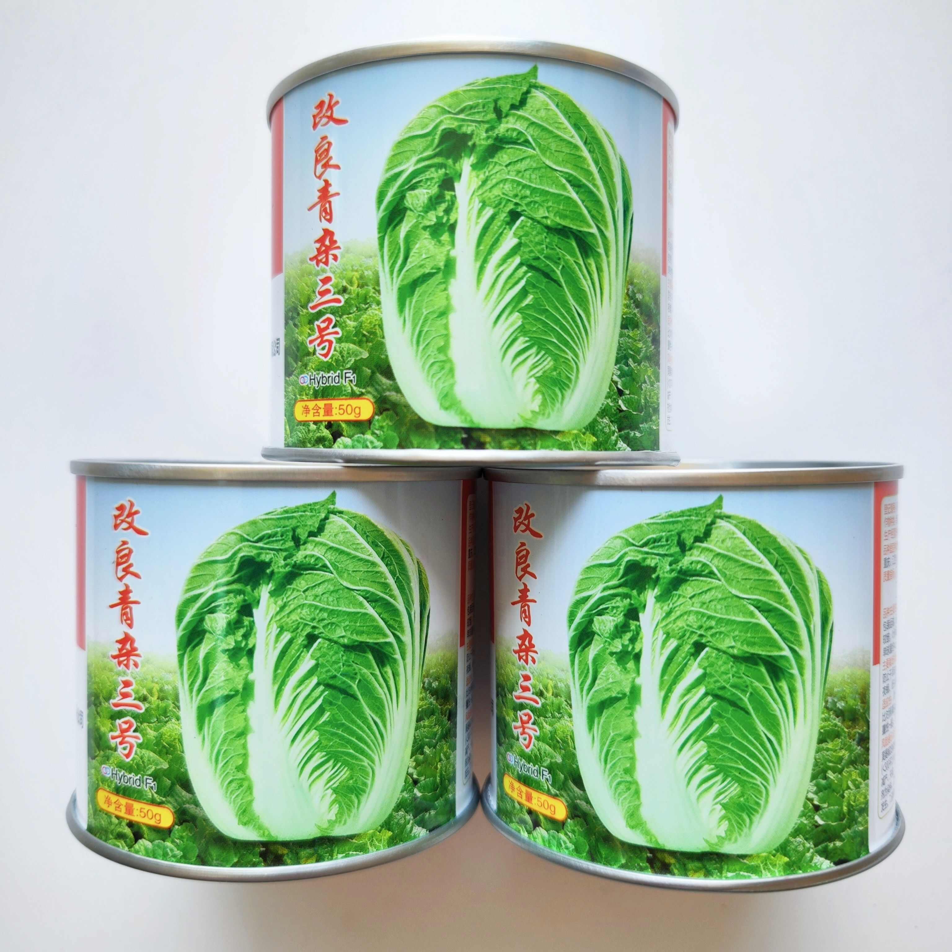 义和秋大白菜种子高产北方耐寒耐储藏越冬白菜农用大田种蔬菜种籽