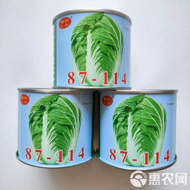 义和秋大白菜种子高产北方耐寒耐储藏越冬白菜农用大田种蔬菜种籽