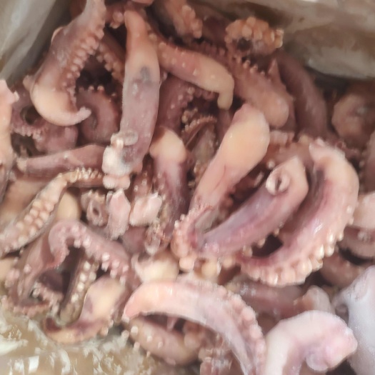 深海章鱼爪