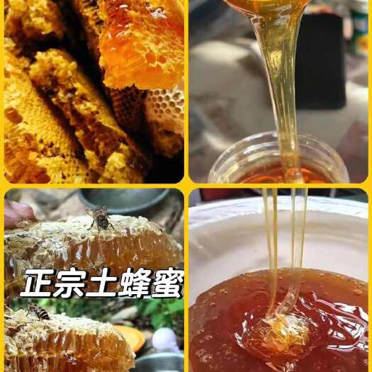 渭南土养中蜂老蜂蜜，