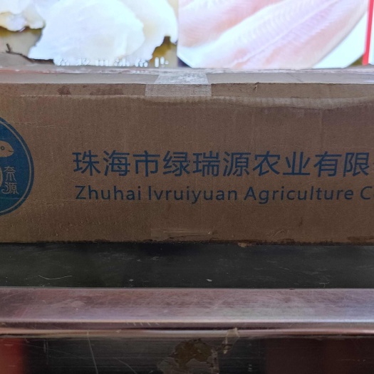 湛江开背海鲈鱼