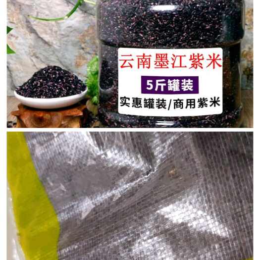 云南墨江农家自种新紫米，老品种脂低粗粮。紫米价格比黑米贵。