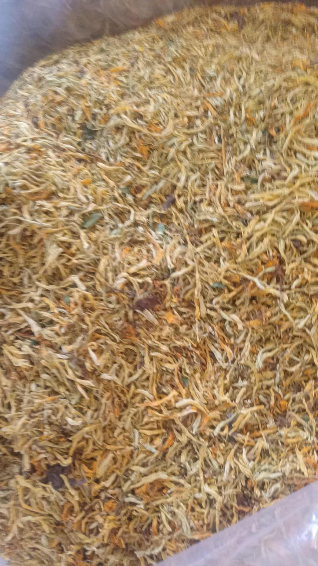 金银花