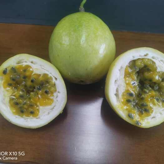 桂林钦蜜九号百香果