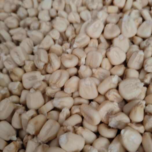 万糯2000糯玉米干粒，白糯玉米干粒