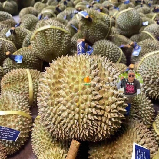 昆明泰国A级金枕榴莲