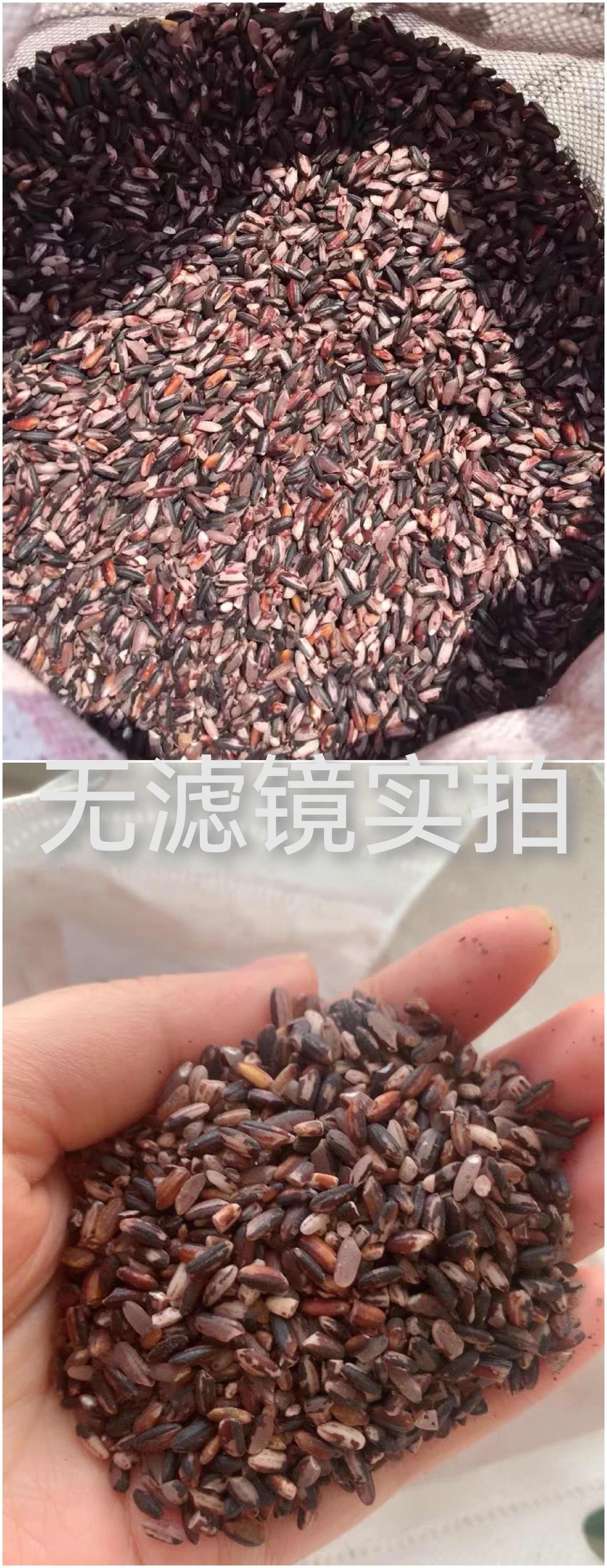 包邮～云南红河墨江紫米紫糯米老品种紫米