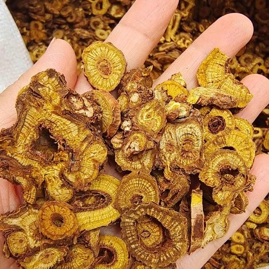 安国市黄芩  内蒙 自然生长 含量高 量大从优