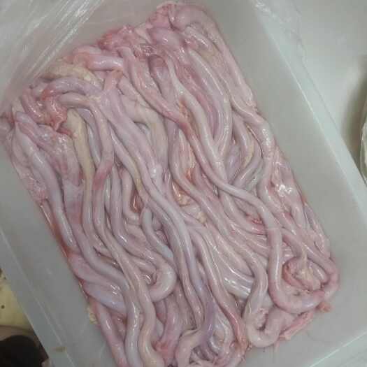沂南县猪鞭