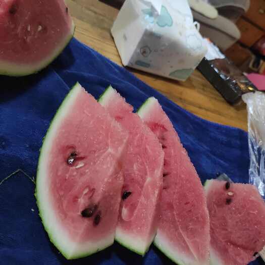 绍兴上虞8424大棚西瓜大量上市价格美丽