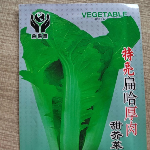 南宁儿菜种子 清甜大肉芥菜基地种包芯芥菜种青菜种子四季耐寒种子