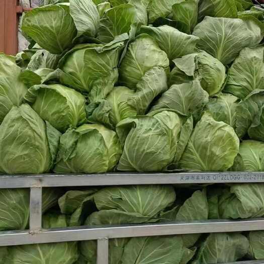 定西精品高原夏菜，大量供应社区团购，批发市场，欢迎各位老板采购