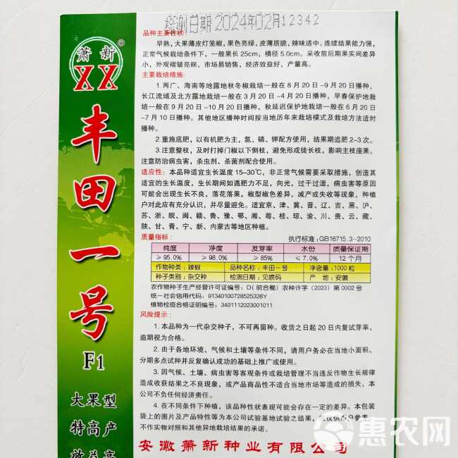 薄皮辣椒种子萧新之星大果早熟耐低温弱光抗病春秋大棚露地种植