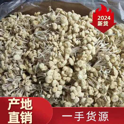 江西广昌茶树菇白菇白茶树菇2024年新菇干货食用菌