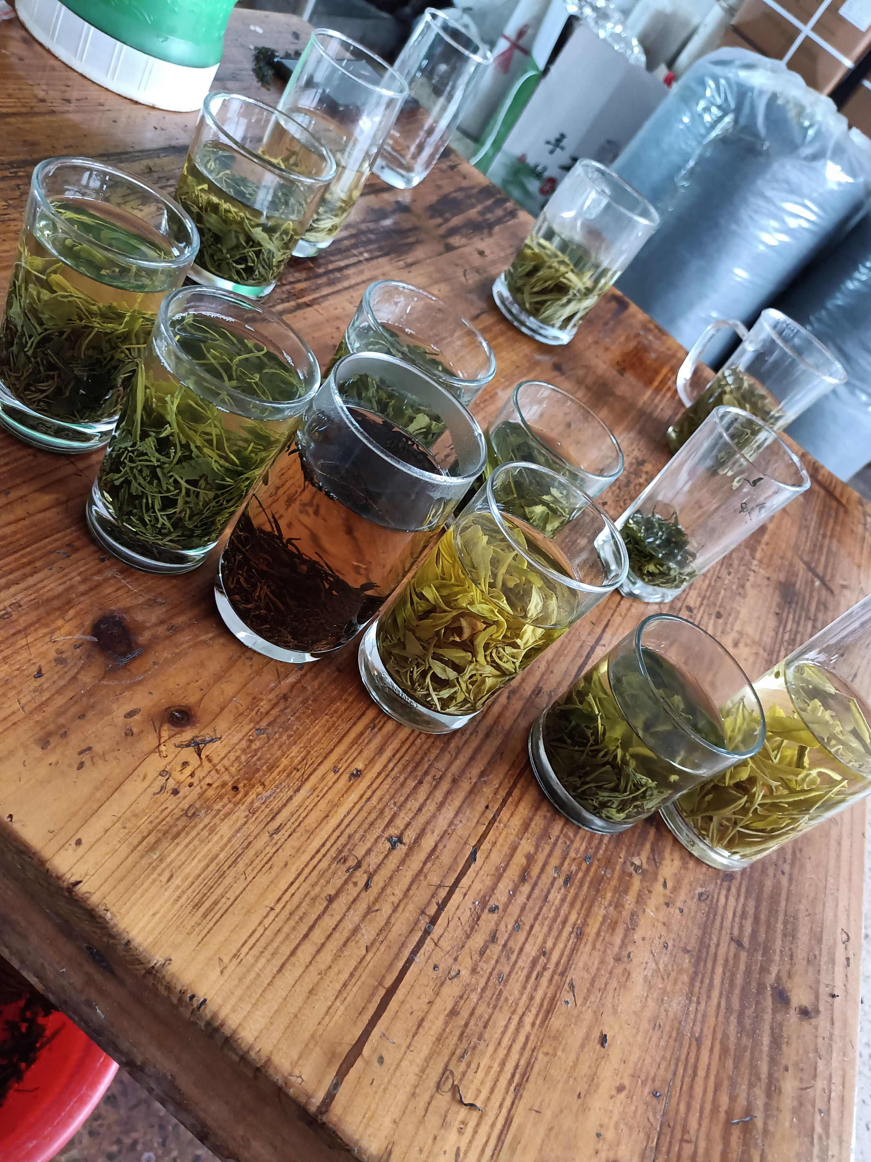 高山绿茶 （龙三）茶叶 包邮