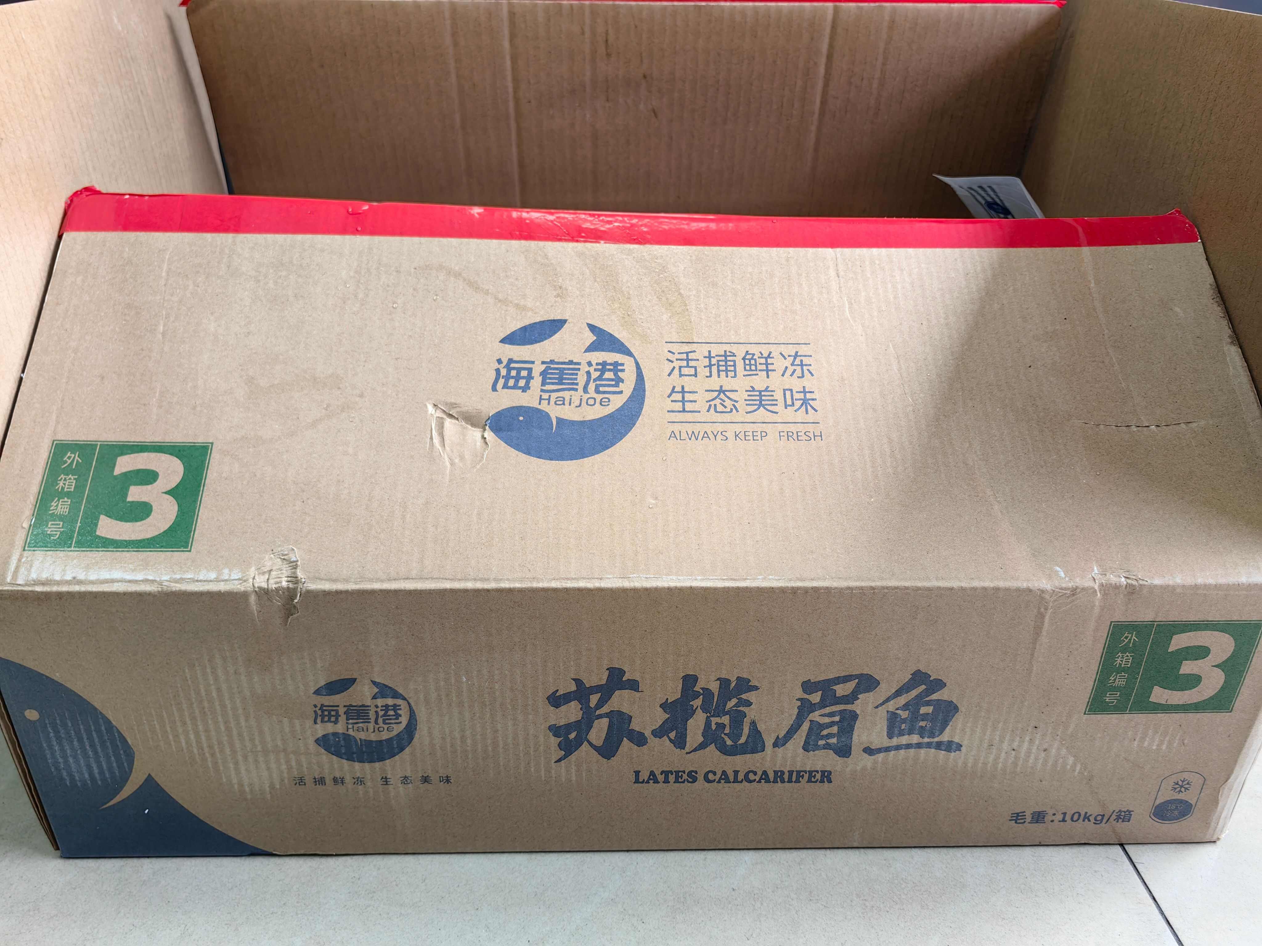 开肚苏榄眉鱼