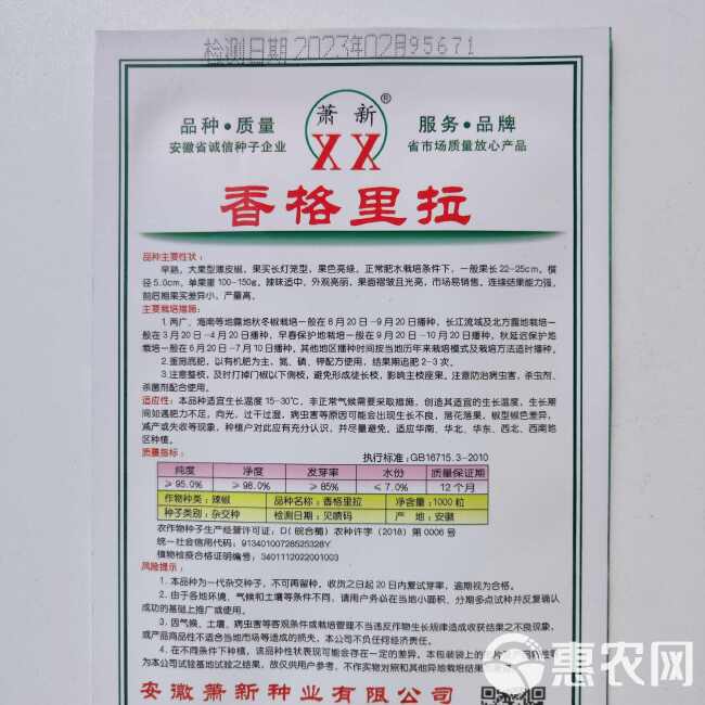 薄皮辣椒种子萧新之星大果早熟耐低温弱光抗病春秋大棚露地种植