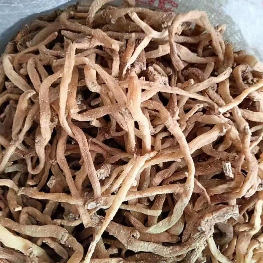 玉竹