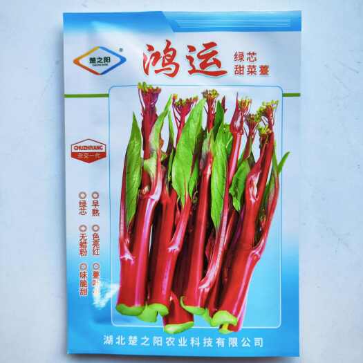 沭阳县玫瑰红2号甜菜苔种子菜心种子速生耐热耐湿油农家甜菜心蔬菜种