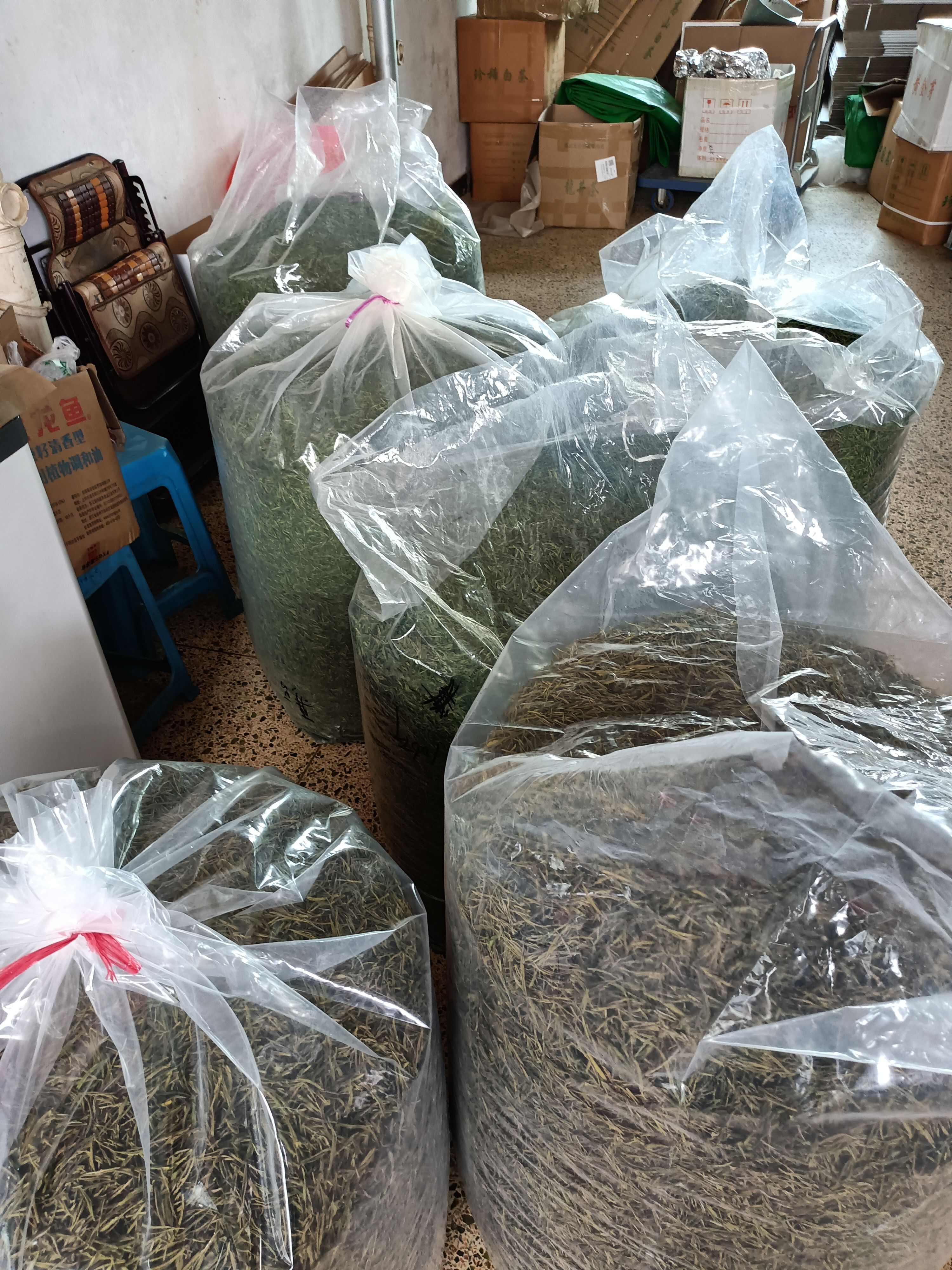高山绿茶 （龙三）茶叶 包邮