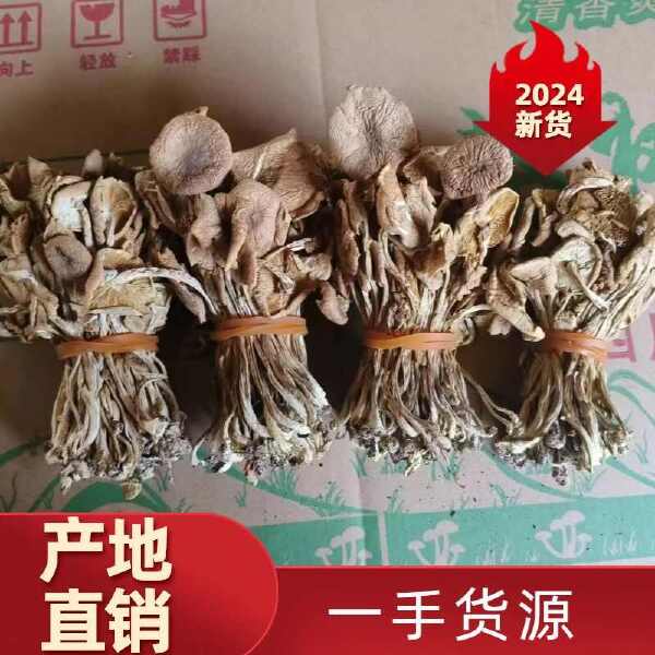 广昌茶树菇开伞扎把茶树菇3号茶树菇食用菌干货茶薪菇