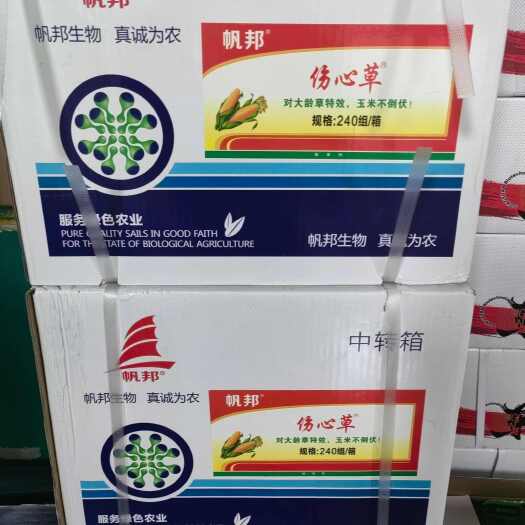 帆邦伤心草玉米地专用安全苗后除草剂 玉米田苗前除草 禾阔双杀