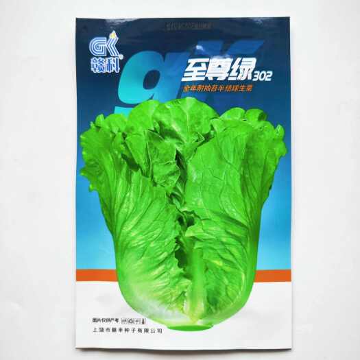 沭阳县四季耐抽苔生菜种子甜脆意大利生菜爽口生吃水培四季盆栽蔬菜种籽