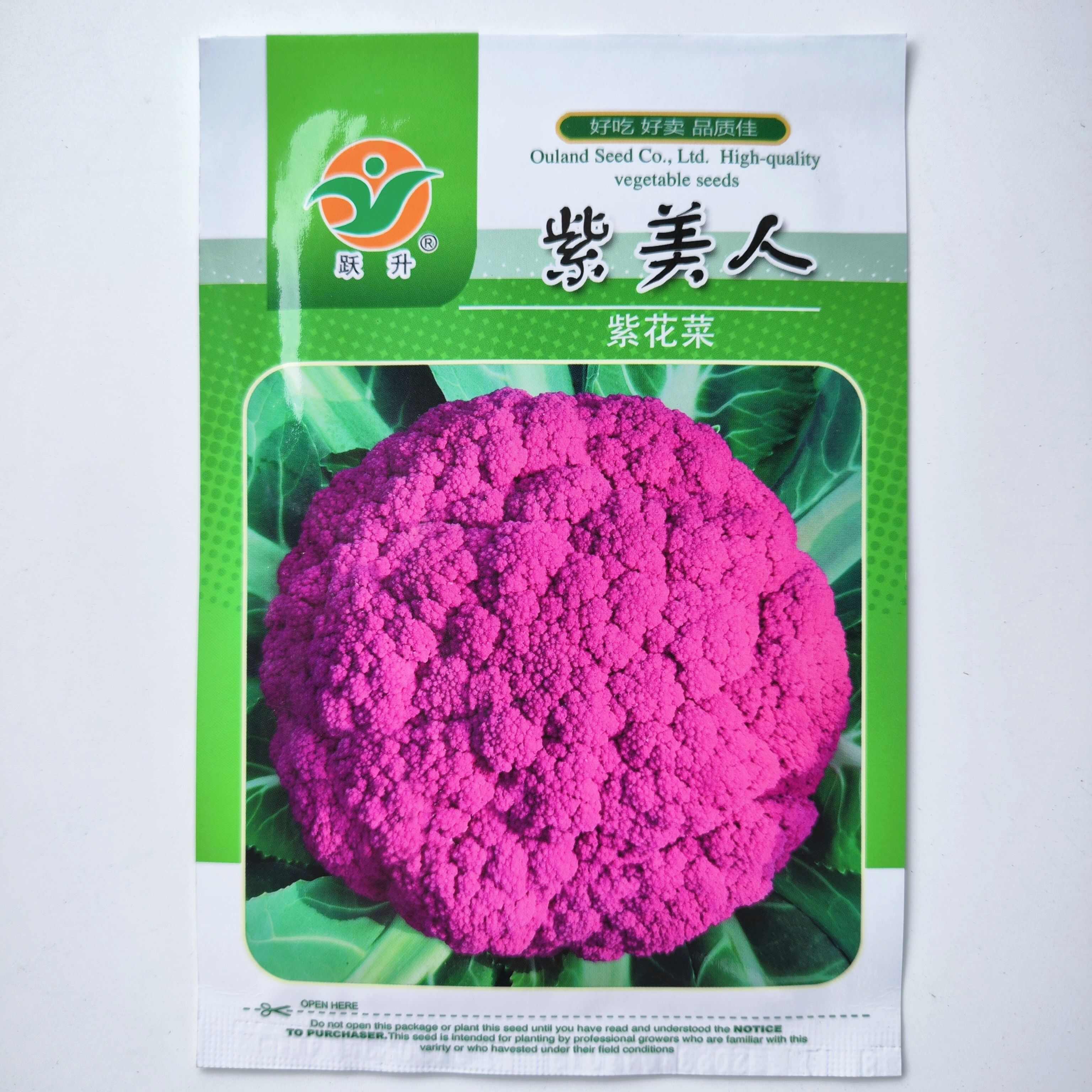 绿娃娃西兰花种子青花菜白花椰菜耐寒大棚盆栽四季播农家蔬菜种籽