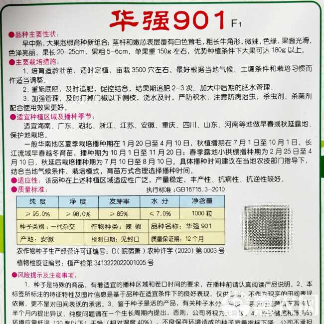 辣椒种子黄帅916辣椒早熟高产抗病中辣大果厚皮杂交牛角椒种籽