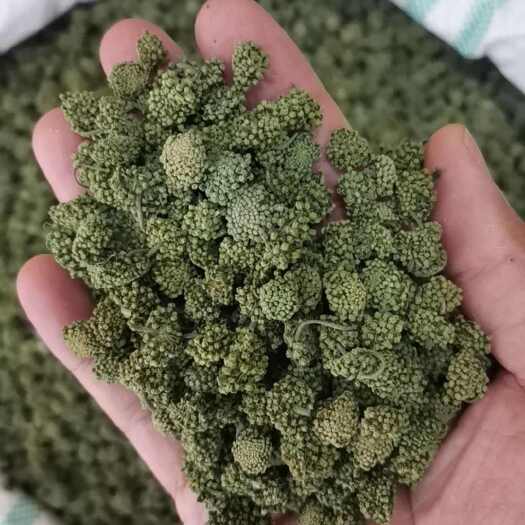 亳州三七花云南文山正品三七花【假一赔十】