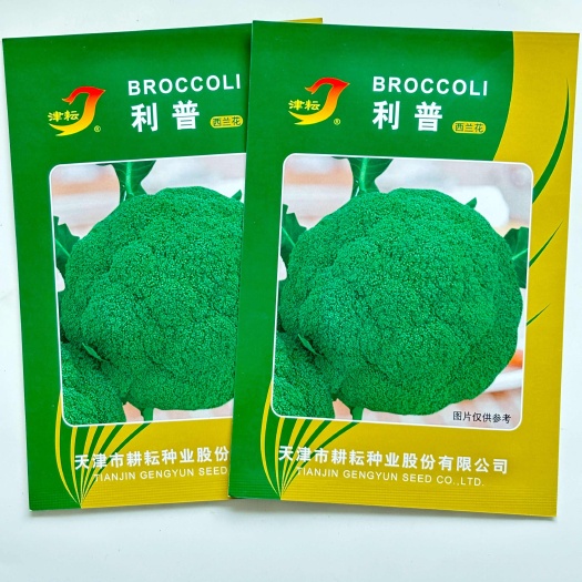 利普西兰花菜种籽孑中晚熟杂交一代大田专用花菜种子秋冬季