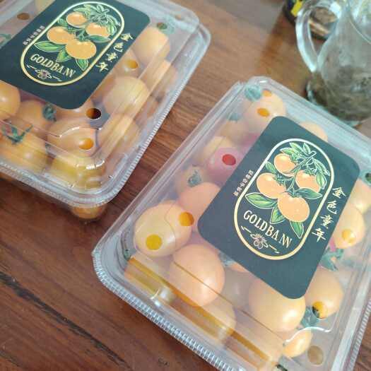 郑州金珠小番茄口感超好大量上市