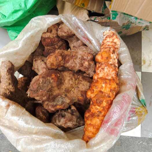 清远清远本土白肉干货土伏苓粉，灵芝粉 伏苓粉
