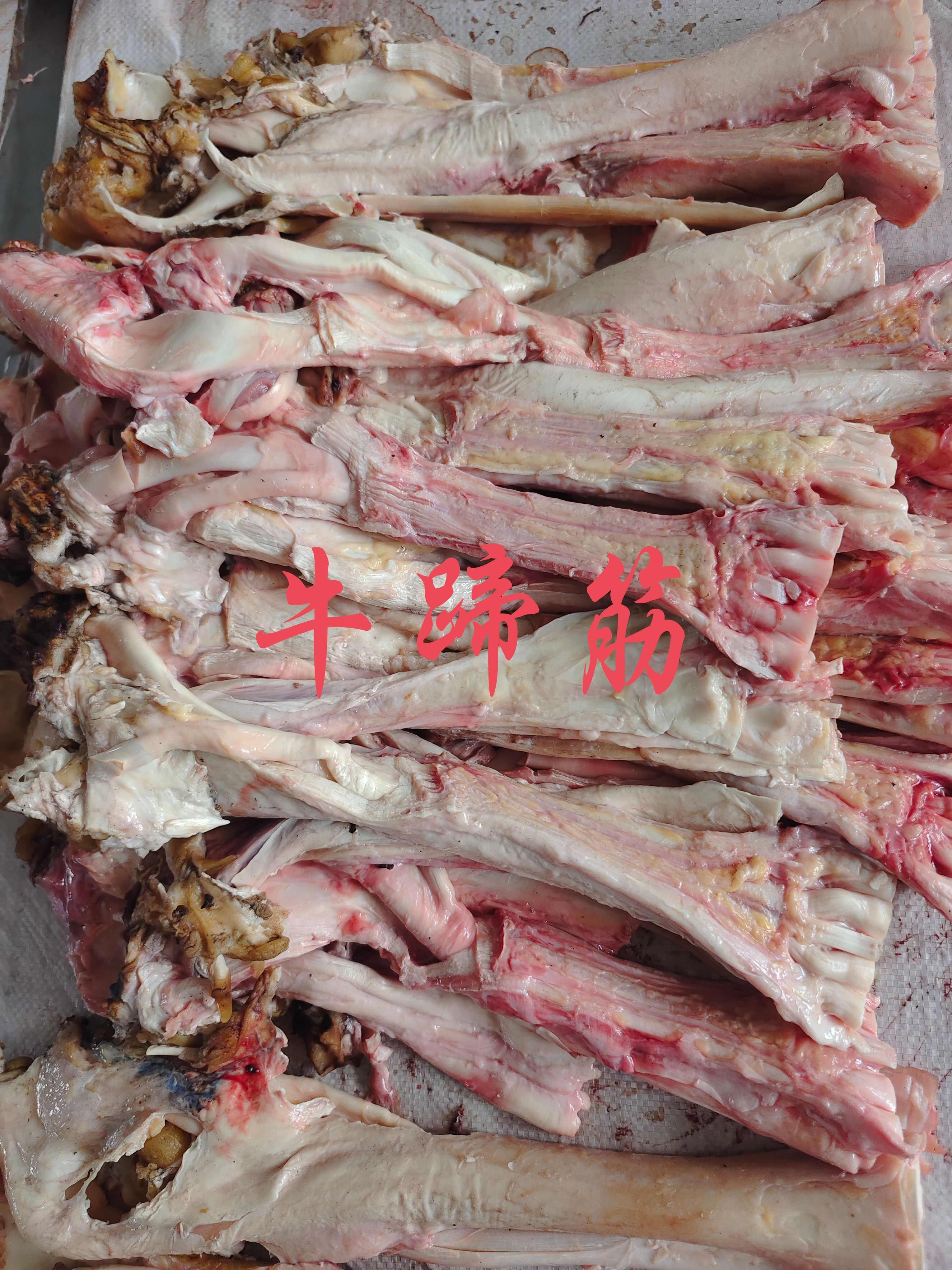 【牛蹄筋】当地草原黄牛的蹄筋，箱装五十斤一件，红烧软糯Q弹