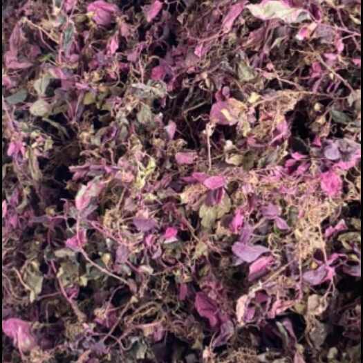 武平县风柜斗草，大量收
