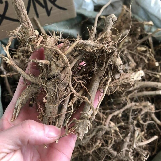 艾根中药材干艾根智蓉轩农业基地自产自销代客加工磨粉