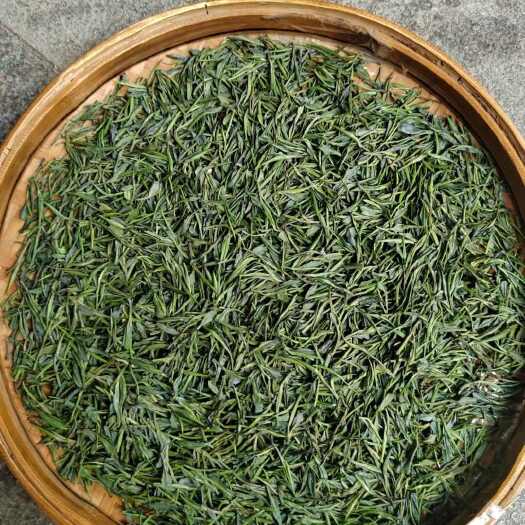 湄潭县雀舌头子