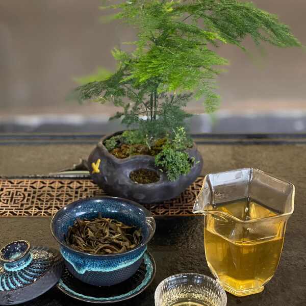 2021年古树茶普洱生普，250克/袋