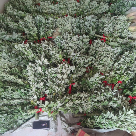 唐河县端午节艾，插门艾