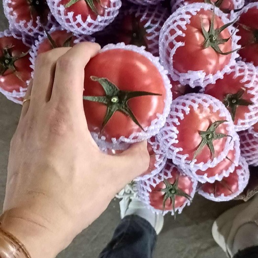主要经营鲜花丝瓜硬粉西紅柿