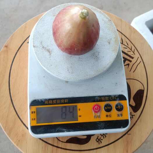 广州自种无花果，新鲜现摘，又大又甜