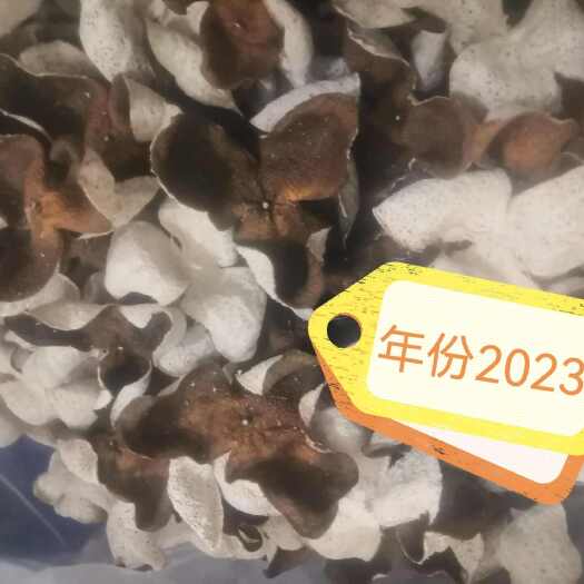 江门新会陈皮～