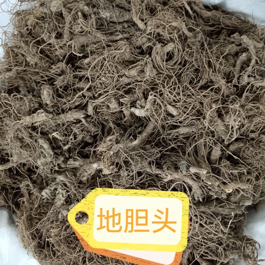 清远地胆头