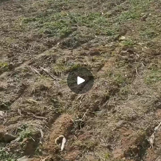 农村土地流转，欢迎合作参与