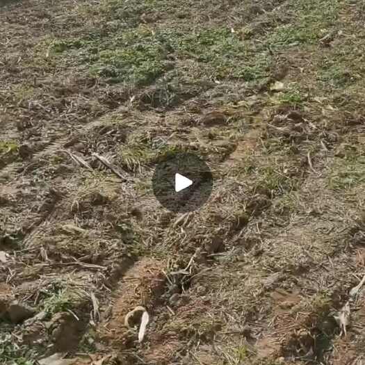 礼泉县农村土地流转，欢迎合作参与