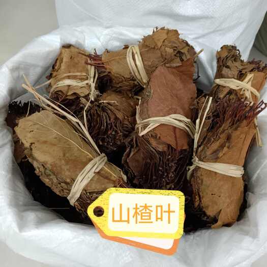 清远山楂叶