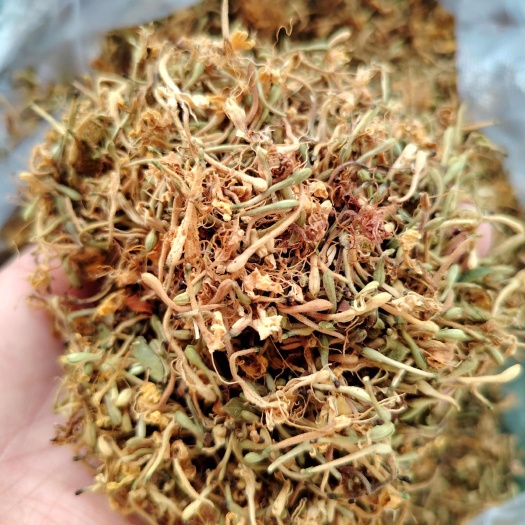 贵州金银花  山银花   晒花 无硫  味香  没有杂质