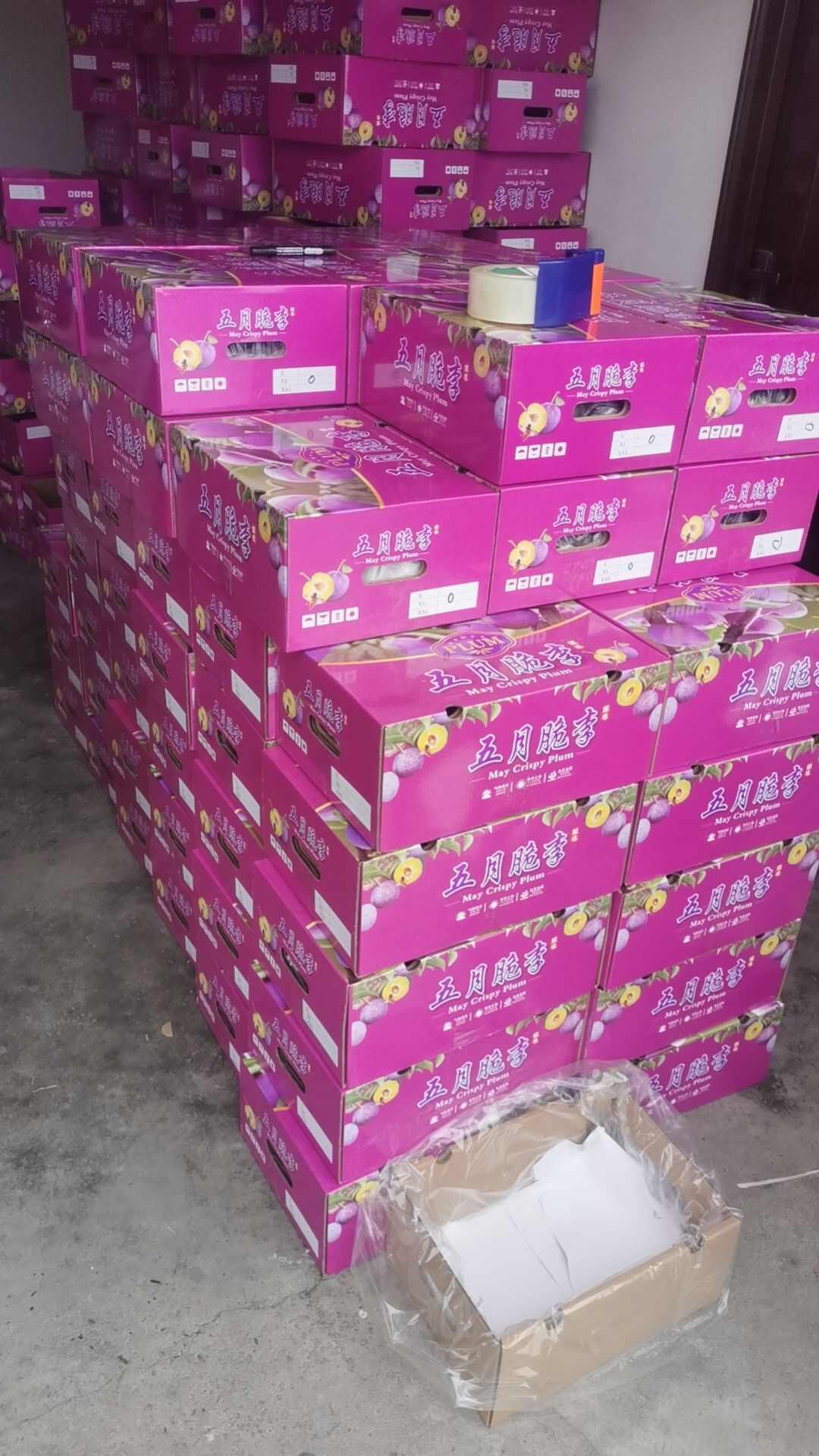 五月脆李子，电商货市场货，大量供应