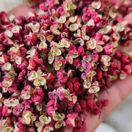 陇西县花椒，大红袍