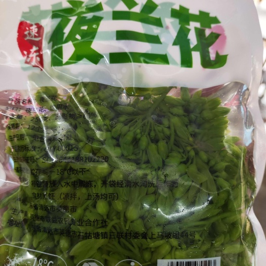 佛山夜香花/夜蘭花
